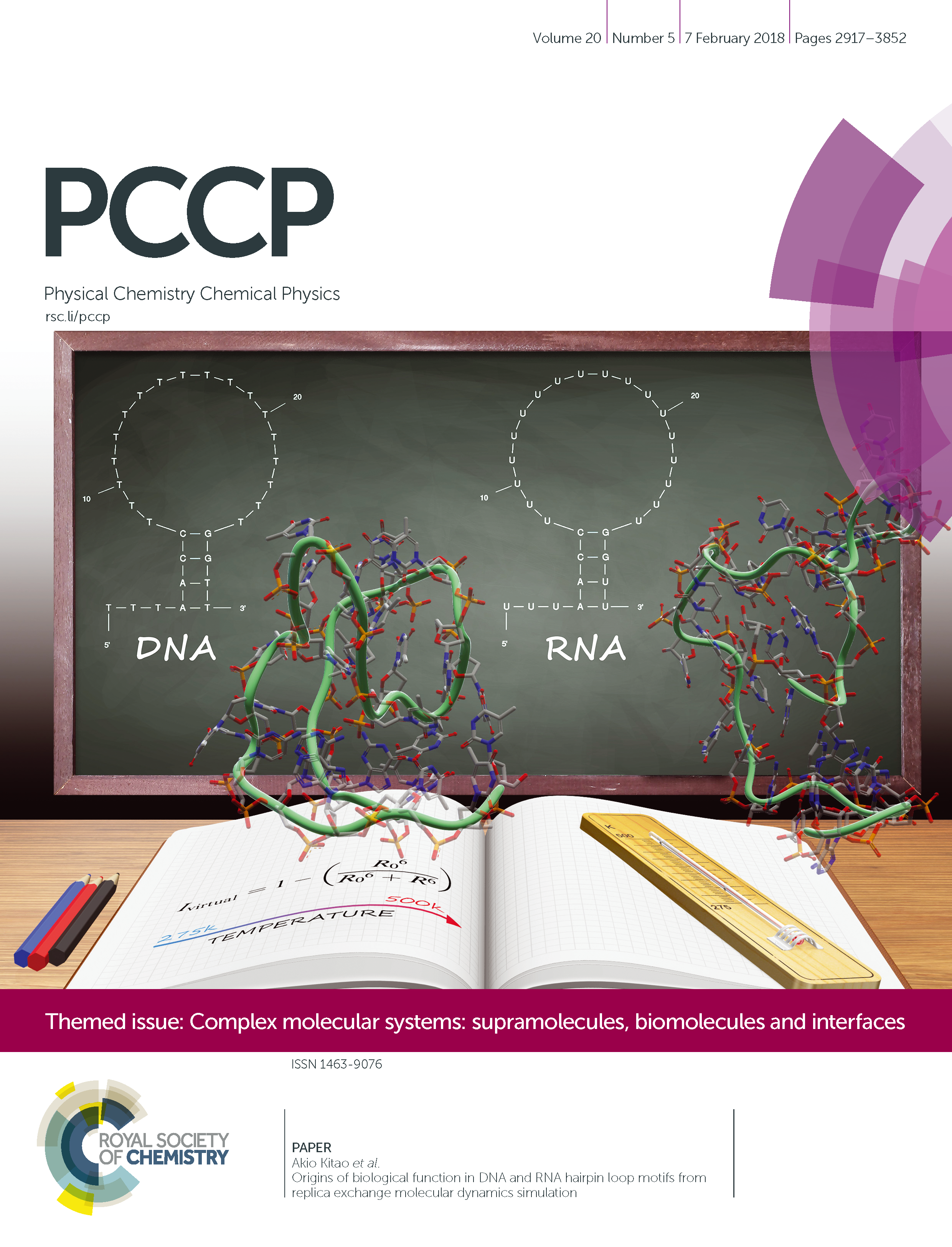 DNA RNA